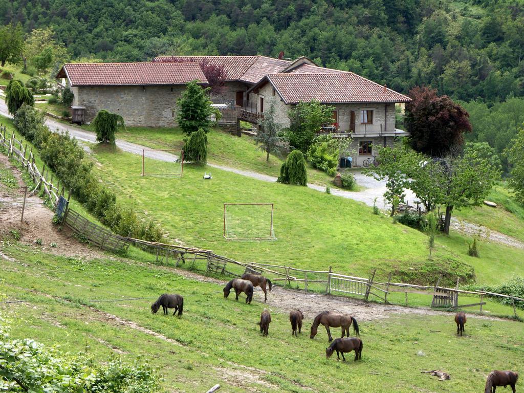 Agriturismo Gallo Cortemilia エクステリア 写真
