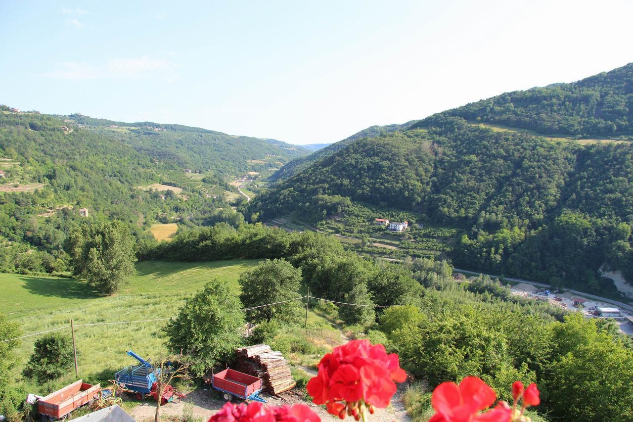 Agriturismo Gallo Cortemilia エクステリア 写真